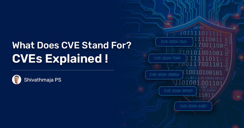 Read more about the article What Does CVE Stand For? CVEs Explained!